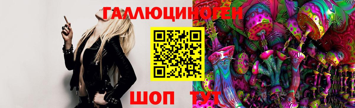 Псилоцибиновые грибы Psilocybe Ефремов