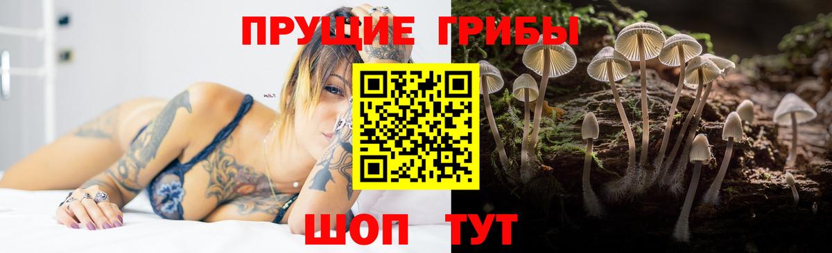 Псилоцибиновые грибы Cubensis  Вход с VPN  Псилоцибиновые грибы мухоморы  Ефремов 
